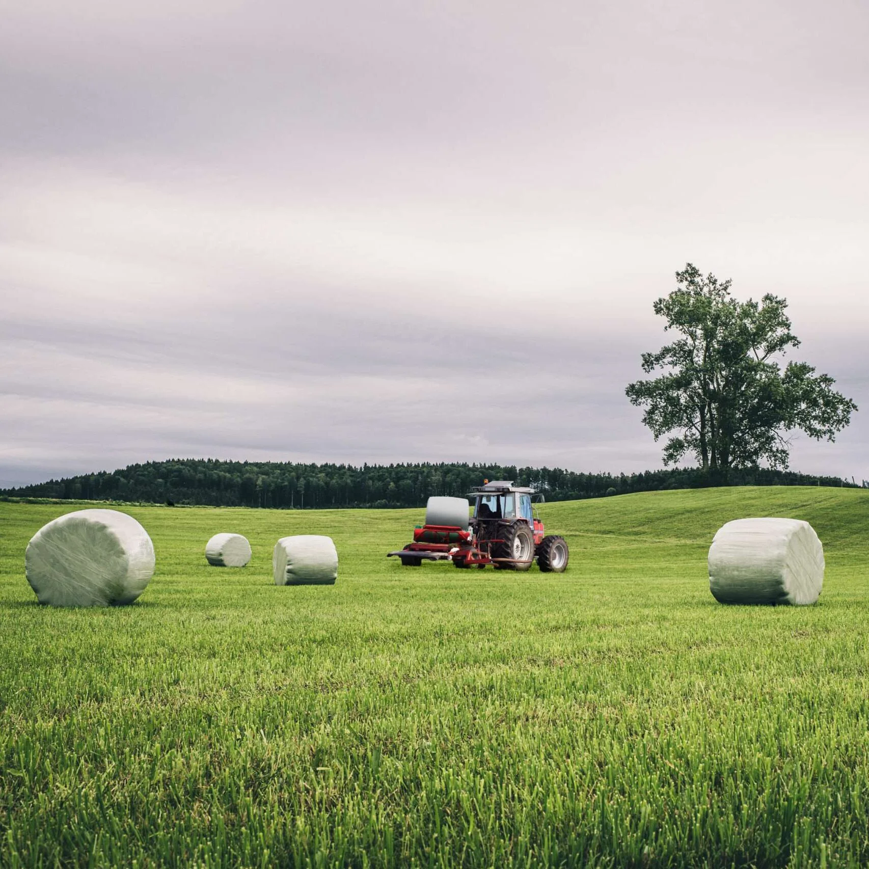 Unlocking the Secrets to Superior Fodder: The Science Behind Silage Films