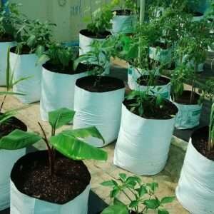 grow-bags