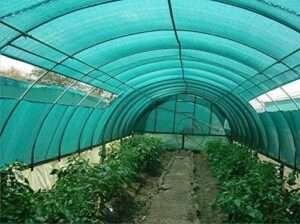 IMG-20240103-WA0095