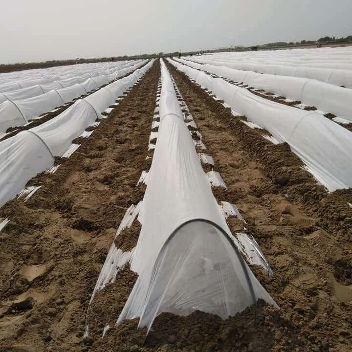 The Future of Agriculture: Innovations in Crop Protection and Yield Enhancement